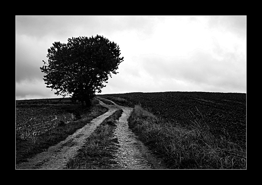der Weg eines Tr&auml;umers